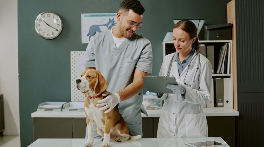 Veterinary Clinics & Animal Hospitals